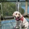 Images de profil de Morgane - Blooming Pets - Petsitting et garde d'animaux Ă domicile