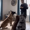 Images de profil de Fiona - Blooming Pets - Petsitting et garde d'animaux à domicile
