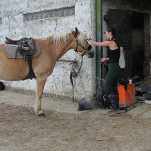 Images de profil de Roxane - Blooming Pets - Petsitting et garde d'animaux à domicile