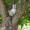 Images de profil de Coraline - Blooming Pets - Petsitting et garde d'animaux à domicile