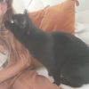 Images de profil de Virginie - Blooming Pets - Petsitting et garde d'animaux à domicile