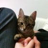 Images de profil de Vincent - Blooming Pets - Petsitting et garde d'animaux à domicile