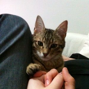 Images de profil de Vincent - Blooming Pets - Petsitting et garde d'animaux à domicile