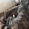 Images de profil de GAELLE - Blooming Pets - Petsitting et garde d'animaux à domicile