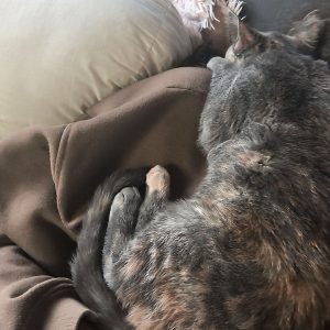 Images de profil de GAELLE - Blooming Pets - Petsitting et garde d'animaux à domicile