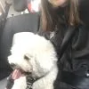 Images de profil de Zoé - Blooming Pets - Petsitting et garde d'animaux à domicile