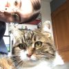 Images de profil de Zoé - Blooming Pets - Petsitting et garde d'animaux à domicile