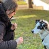 Images de profil de Stella - Blooming Pets - Petsitting et garde d'animaux à domicile