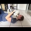 Images de profil de Stella - Blooming Pets - Petsitting et garde d'animaux à domicile