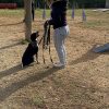 Images de profil de Stella - Blooming Pets - Petsitting et garde d'animaux à domicile