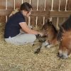 Images de profil de Stella - Blooming Pets - Petsitting et garde d'animaux à domicile