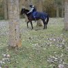Images de profil de Alexandra - Blooming Pets - Petsitting et garde d'animaux à domicile