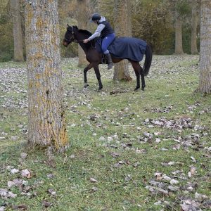 Images de profil de Alexandra - Blooming Pets - Petsitting et garde d'animaux Ă domicile