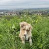 Images de profil de Lea - Blooming Pets - Petsitting et garde d'animaux à domicile