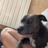 Images de profil de Maela - Blooming Pets - Petsitting et garde d'animaux à domicile