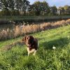 Images de profil de Maela - Blooming Pets - Petsitting et garde d'animaux à domicile