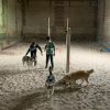 Images de profil de Sophie - Blooming Pets - Petsitting et garde d'animaux à domicile