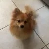 Images de profil de Aurore - Blooming Pets - Petsitting et garde d'animaux à domicile
