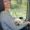Images de profil de Iryna - Blooming Pets - Petsitting et garde d'animaux à domicile