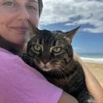Mimi   Chat de gouttière (Commun) Femelle - Garde d'animaux à domicile