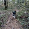 Images de profil de Camille - Blooming Pets - Petsitting et garde d'animaux à domicile