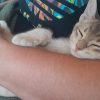 Images de profil de Camille - Blooming Pets - Petsitting et garde d'animaux à domicile