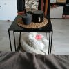 Images de profil de Stacy - Blooming Pets - Petsitting et garde d'animaux à domicile