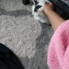 Images de profil de Stacy - Blooming Pets - Petsitting et garde d'animaux à domicile