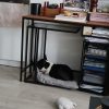 Images de profil de Stacy - Blooming Pets - Petsitting et garde d'animaux à domicile