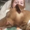 Images de profil de Emilie - Blooming Pets - Petsitting et garde d'animaux à domicile