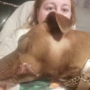 Images de profil de Emilie - Blooming Pets - Petsitting et garde d'animaux à domicile