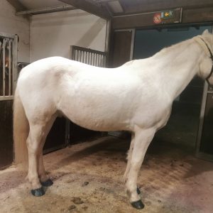 Images de profil de Emilie - Blooming Pets - Petsitting et garde d'animaux à domicile