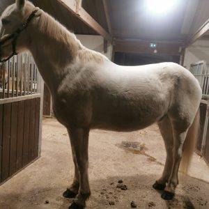 Images de profil de Emilie - Blooming Pets - Petsitting et garde d'animaux à domicile