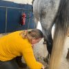 Images de profil de Emilie - Blooming Pets - Petsitting et garde d'animaux à domicile