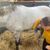 Images de profil de Emilie - Blooming Pets - Petsitting et garde d'animaux à domicile