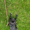 Images de profil de Emilie - Blooming Pets - Petsitting et garde d'animaux à domicile