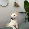 Images de profil de Emilie - Blooming Pets - Petsitting et garde d'animaux à domicile
