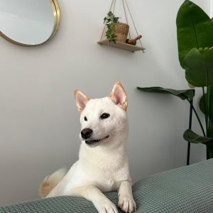 Images de profil de Emilie - Blooming Pets - Petsitting et garde d'animaux à domicile