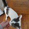 Images de profil de Emilie - Blooming Pets - Petsitting et garde d'animaux à domicile