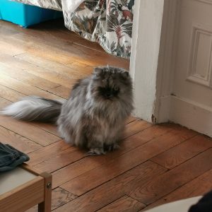 Images de profil de Emilie - Blooming Pets - Petsitting et garde d'animaux à domicile