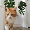 Images de profil de Emilie - Blooming Pets - Petsitting et garde d'animaux à domicile