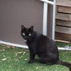 Images de profil de Emilie - Blooming Pets - Petsitting et garde d'animaux à domicile