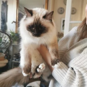 Images de profil de Emilie - Blooming Pets - Petsitting et garde d'animaux à domicile
