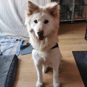 Images de profil de Emilie - Blooming Pets - Petsitting et garde d'animaux à domicile