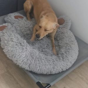 Images de profil de Emilie - Blooming Pets - Petsitting et garde d'animaux à domicile
