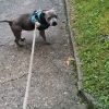 Images de profil de Emilie - Blooming Pets - Petsitting et garde d'animaux à domicile
