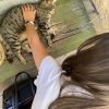 Images de profil de Malia - Blooming Pets - Petsitting et garde d'animaux à domicile