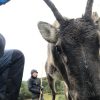 Images de profil de Çou - Blooming Pets - Petsitting et garde d'animaux à domicile