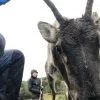 Images de profil de Çou - Blooming Pets - Petsitting et garde d'animaux à domicile
