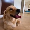 Images de profil de emma - Blooming Pets - Petsitting et garde d'animaux à domicile